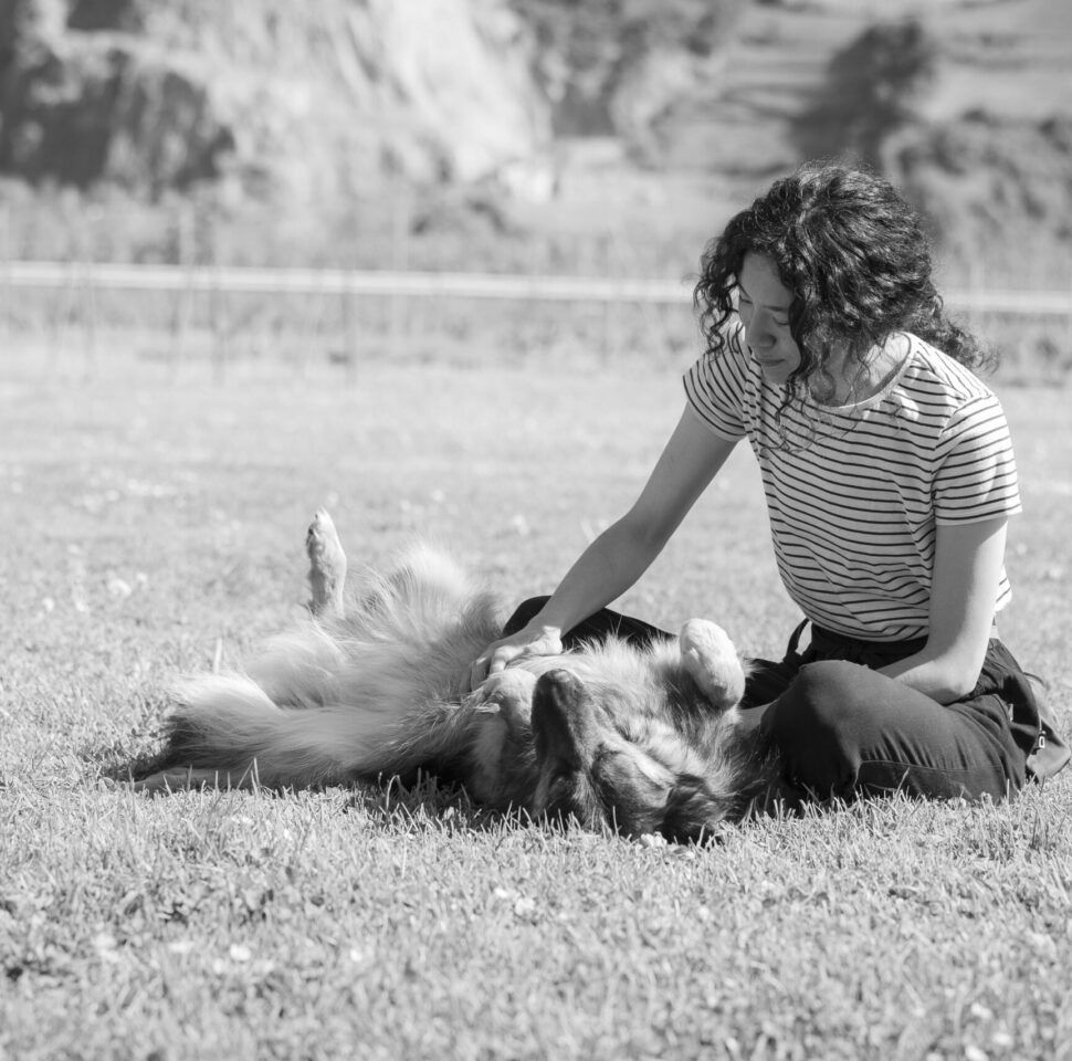 Coaching canin & shooting photo ( terminé )